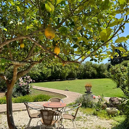 L'orto Lantgård San Vero Milis