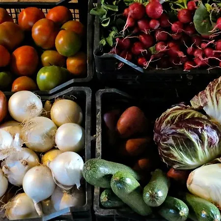 L'orto San Vero Milis